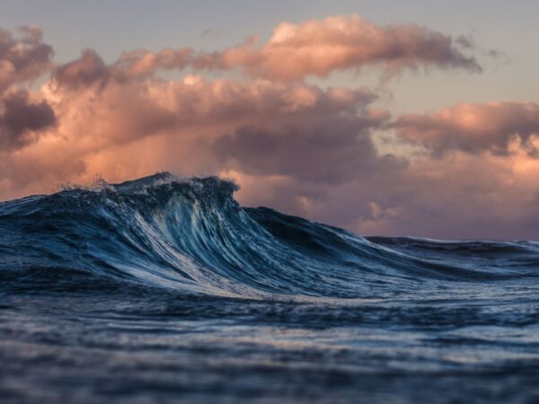 Coastal Morocco – Atlantic Beaches & Medina Charm